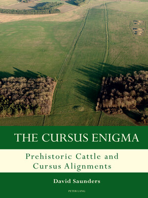 cover image of The Cursus Enigma